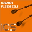 ICS